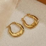 Chic Aura Hoops Earrings
