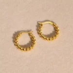 Orion Torsade Earrings - Image 4